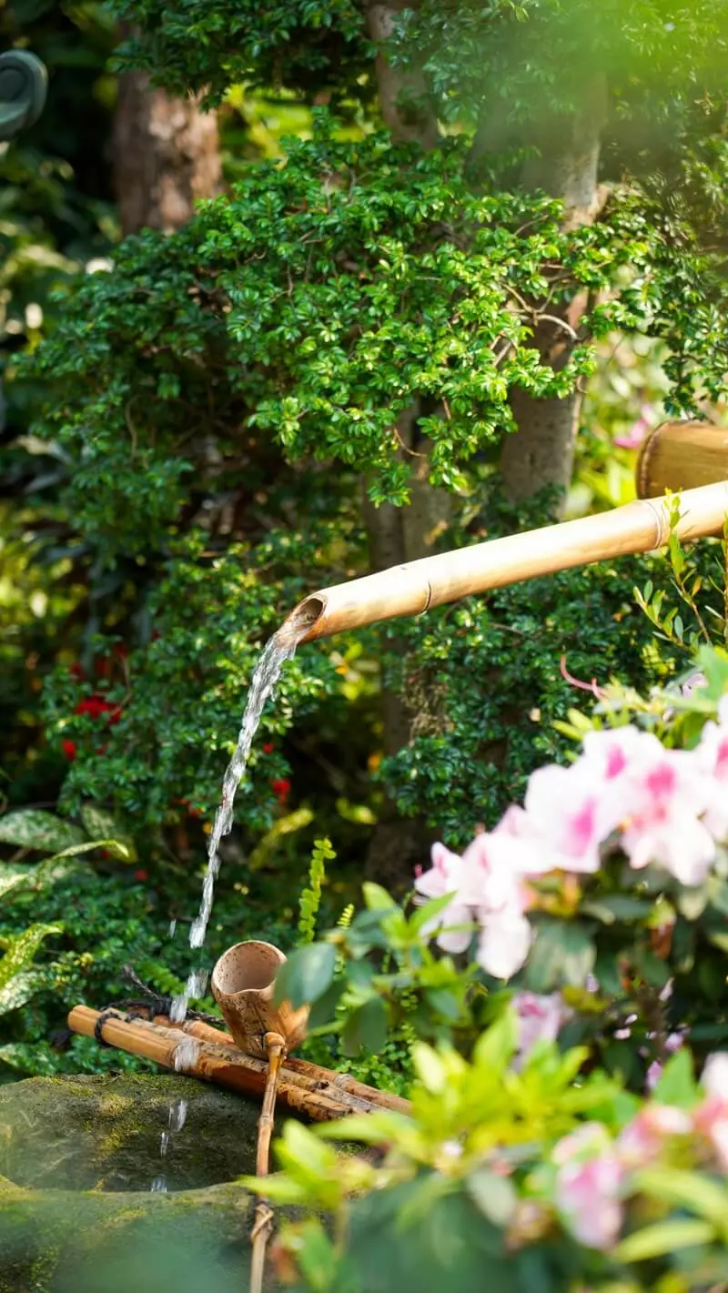 Acqua che esce da un tubo in bambù